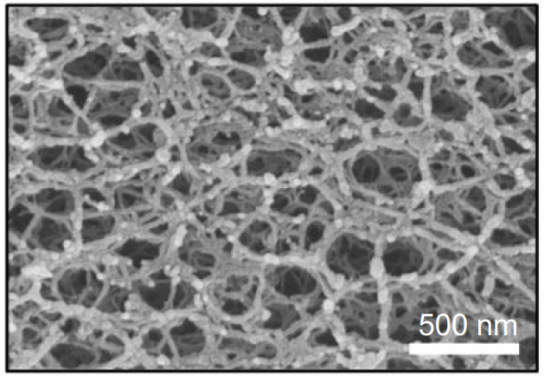 Scanning electron microscope image showing the micro-structure of the aerogel materials